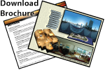 Download Brochure